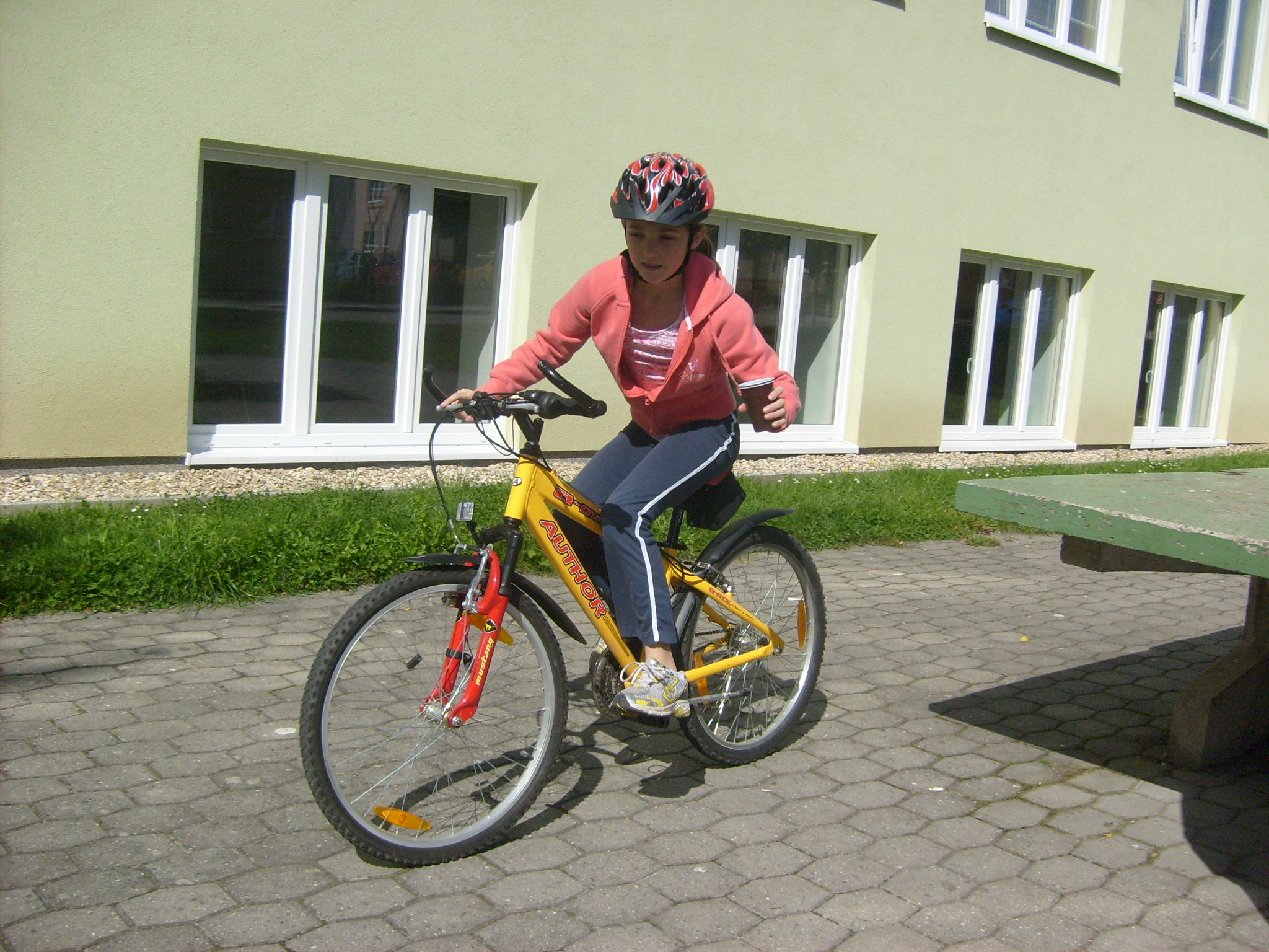 6,A den mobility 027