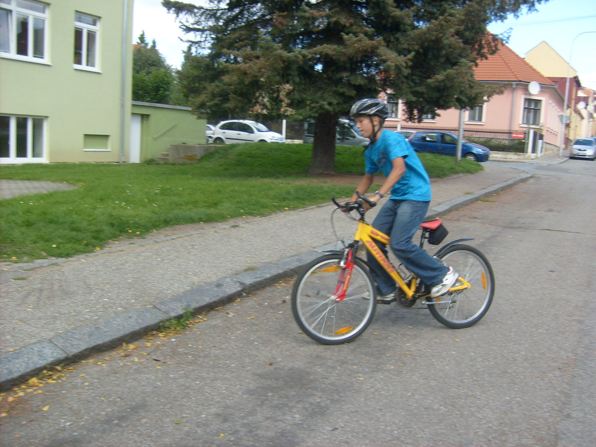 6,A den mobility 007